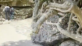 这个地方怎么有种熟悉得感觉 ，