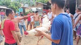 win ulit si whitey wala nnmn sugat