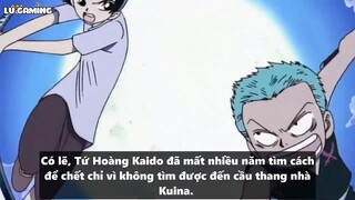 Top 5 Nàng Harem Của Zoro _ Người đẹp xứng đáng với Zoro nhất p3