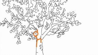 火柴人短篇系列 - 种苹果（Plantenstein）