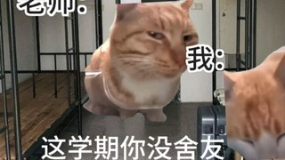 Khi tôi biết rằng tôi sẽ sống trong một phòng đơn sang trọng trong học kỳ này