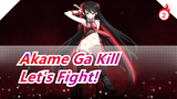 Akame Ga Kill|Let's Fight!_2