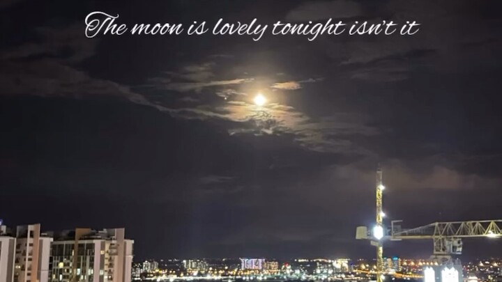 Fav confession: ”月が綺麗ですね“ (audio from: Holmes of Kyoto)