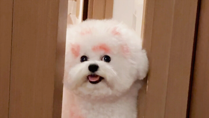 أمي، افتحي الباب، لقد عدت من التسكع في الخارج...