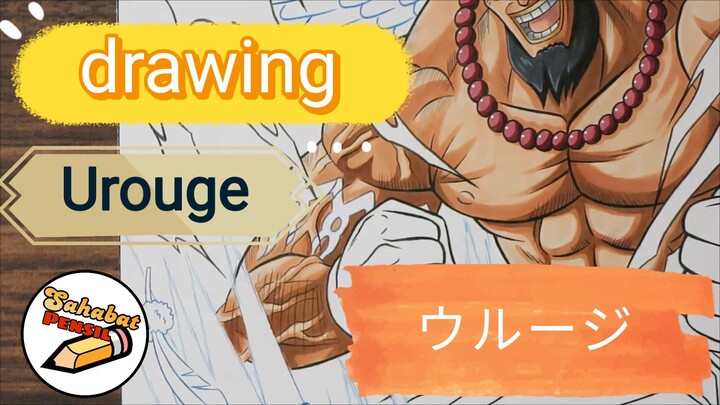 drawing urouge ウルージone piece