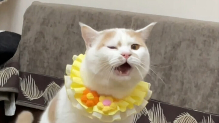 That’s why we told it to speak softly…