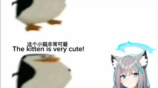 看哭14亿ba玩家
