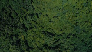 Host.2025.Thai.Horror.Sub.Malay