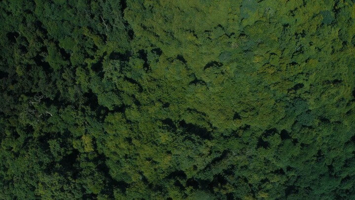 Host.2025.Thai.Horror.Sub.Malay