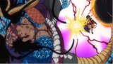 [ Spoiler One Piece 1037 ] Kaido múa túy quyền , Ngũ Lão Tinh tiết lộ bí mật về