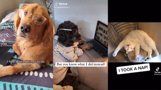 I Took A Nap - Tiktok Compilation
