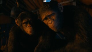 Kingdom of the Planet of the Apes 2024 Hindi (Cleaned) Dual Audio 1080p.