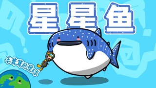 【Cá mập voi】Tại sao lại là loài cá có sao?
