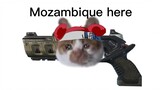 Croissant Cat, nhưng Mozambique