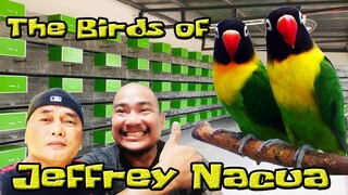 The Birds of JEFF NACUA