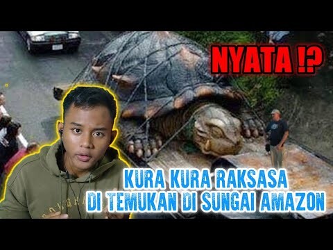 KURA KURA RAKSASA,DI TEMUKAN DI SUNGAI AMAZON !? #DETEKTIFDANIEPS1
