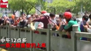 大爷当街钓鱼围观者密不透风       鱼线拉起瞬间全场沸腾