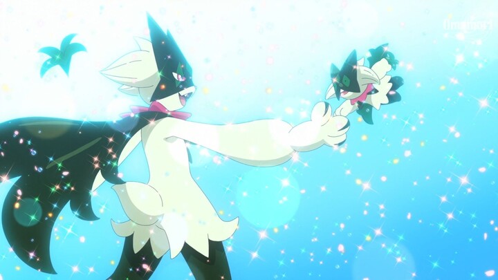 Pokemon Horizon Tập 147: Siêu xúc động! Pokémon Contest đây rồi!!