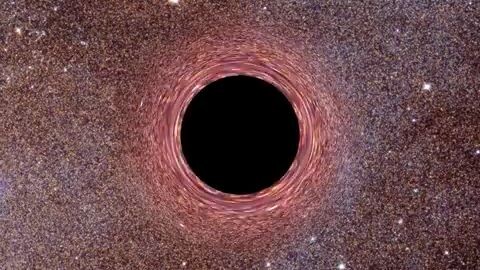 black holebilibili.tv