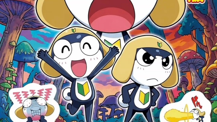 tamama 🔰 Wonderland amv