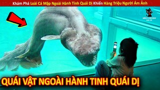 Khám Phá Loài Cá Mập Ngoài Hành Tinh Quái Dị Khiến Hàng Triệu Người Ám Ảnh