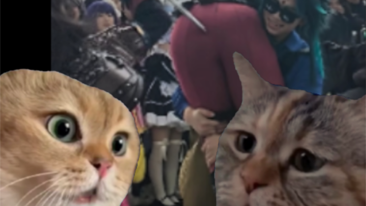 Deadpool’s superpower is immortality—go ahead and beat him up all you want!