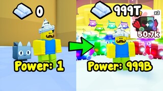 Went From Noob To Master In Pet Simulator 99! Becoming The Strongest