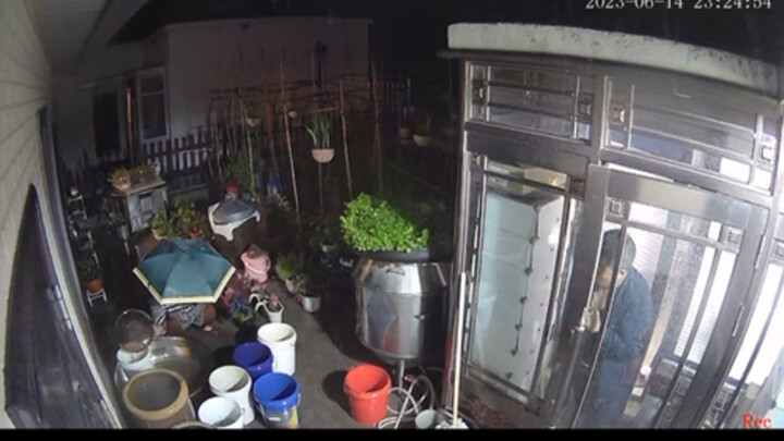 翻到去年的录屏  就是一个普通下雨的晚上我妈看见下雨了就要上楼整她困些浇菜园的雨水但她晚上自己不敢上去 就把我爹薅起来陪她一起我发现俩人没在屋 点开监…