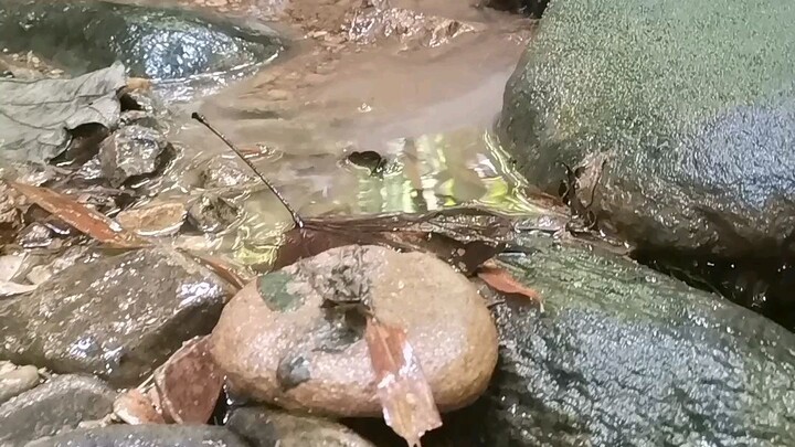 #BiliBili creator competition 2023