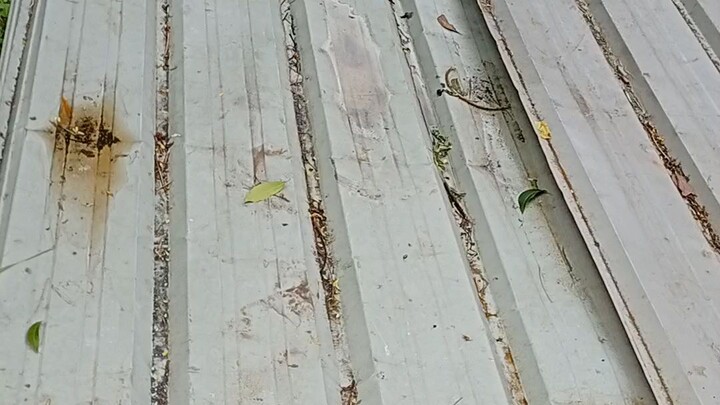 how to install pillow block