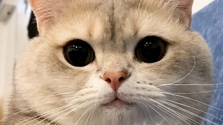 Baby, don’t be sad— it’s no big deal.