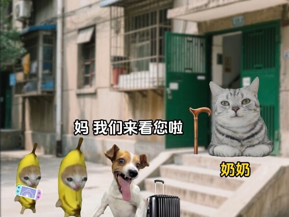 วันหยุดพาพ่อแม่ไปเยี่ยมคุณย่า แล้วก็พบว่าไม้เท้าของคุณย่าช่างน่าทึ่งเหลือเกิน