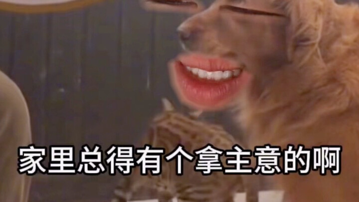 “Tìm điểm khác biệt mà cũng nói được kiểu này à?”