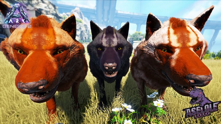 Trio Racing Fenrir Menjadi Raja Hutan!!  - GENESIS PART 2