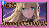 Trận Chiến Lấy Lại Tương Lai | Zero / Stay Night / Grand Order | Fate / AMV Strange Fake_2