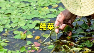 China's most endangered first-class protected plant is still served on the table? People in the sout
