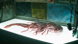 Tentacled Lifeform Found In The Deep Sea & Scientists End Up Being Attacked By These Evil Monsters