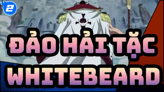 [ĐẢO HẢI TẶC] Cống hiến cho Whitebeard_2