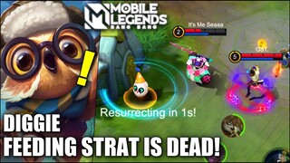 FEEDING DIGGIE STRATEGY IS DEAD?