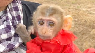 So Cute Little Princes Maya Visit The Countryside Wear The Beautiful Clothes