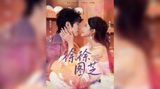 徐徐圖芝 Proceed Gradually