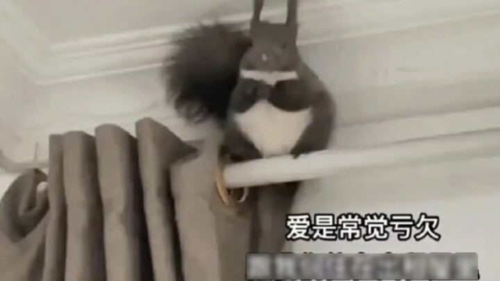 Laughing, netizens commented on your son's weight hahahahaha 🤣