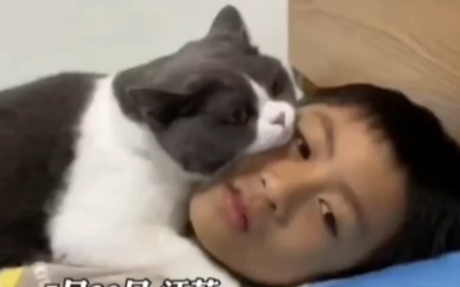 แมวน้อยขี้อ้อนมากเลย ฮ่าๆ! รู้สึกได้ถึงความอิจฉาของคุณแม่เลย!