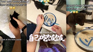 人好猫好🥹💗