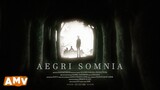 Anime MV - Aegri Somnia [Soul's Team IC XVII]