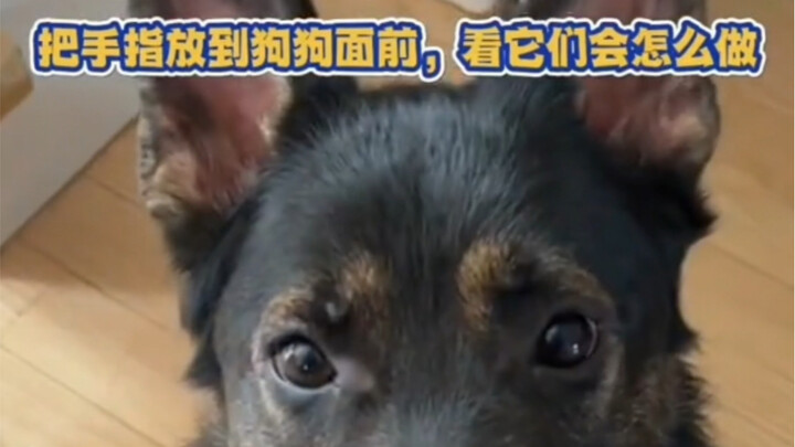 哈哈哈哈哈哈哈快试一下