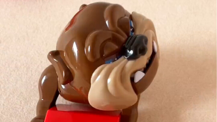 انقضّ عليّ كلب صغير شرير فجأة وأرعبني!