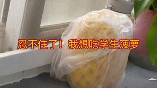 实在忍不住了，我真的想吃学生菠萝