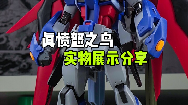 〖真愤怒之鸟〗飞鸟先生实物展示分享