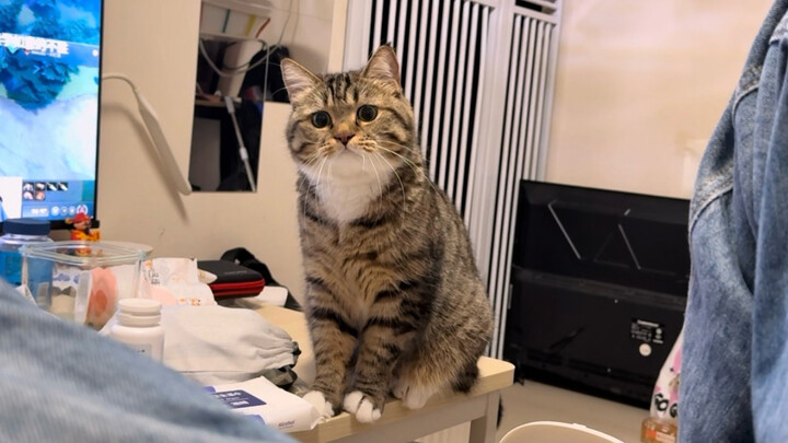 น่ารักแบบเทคเดียวจบ